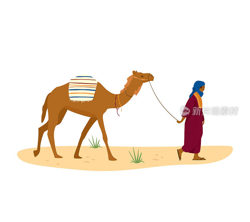 Bedouin leads his camel